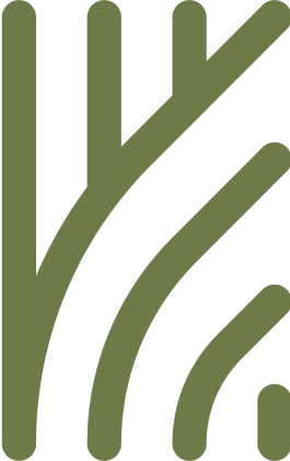 Image décorative
